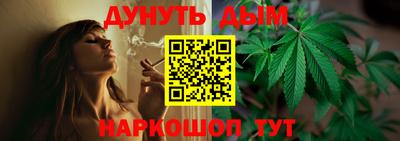 спиды Новодвинск