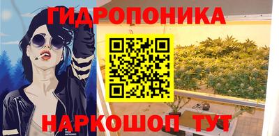 спиды Новодвинск
