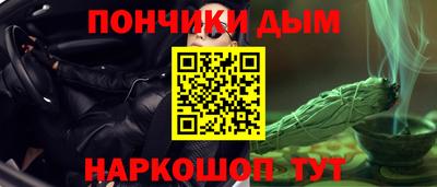 спиды Новодвинск