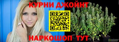 спиды Новодвинск