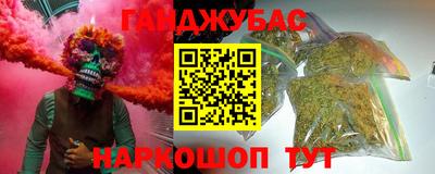 спиды Новодвинск