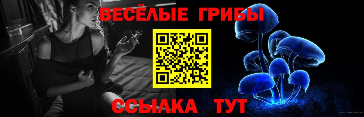 Псилоцибиновые грибы Magic Shrooms  Вход с VPN  Галлюциногенные грибы прущие грибы  Ступино 